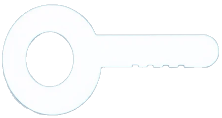 Passkey icon